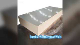 Custom PP Wall Sheet Weatherproof Durable