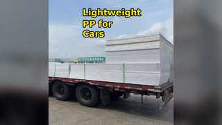 Automotive PP Sheets 30mm Lightweight Durable