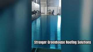 Durable Polycarbonate Sheets for Greenhouse Roofing