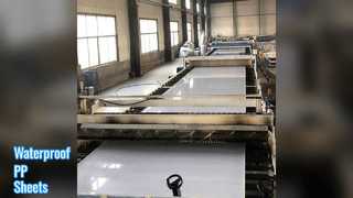 Waterproof PP Sheets For Construction